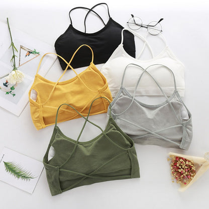 Stylish Sports Bra